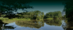 Banner Bienvendios a nuestra empresa-min
